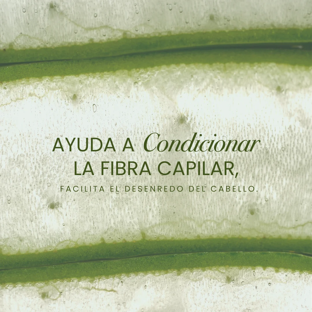 ACONDICIONADOR ANYELUZ DE ARGÁN Y ALOE VERA - Imagen 3