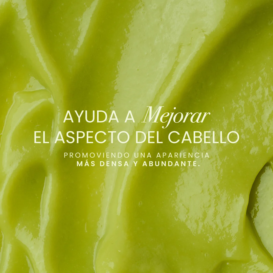 SHAMPOO CON AGUACATE ANYELUZ - Imagen 3