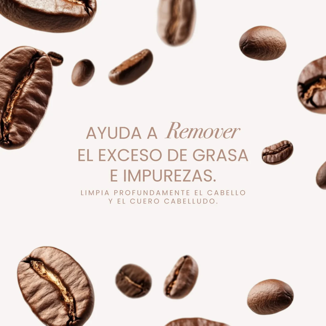 SHAMPOO CON CAFÉ ANYELUZ - Imagen 3